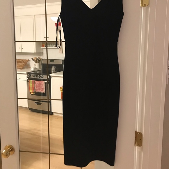Aritzia Babaton Brodie dress - Picture 4 of 5